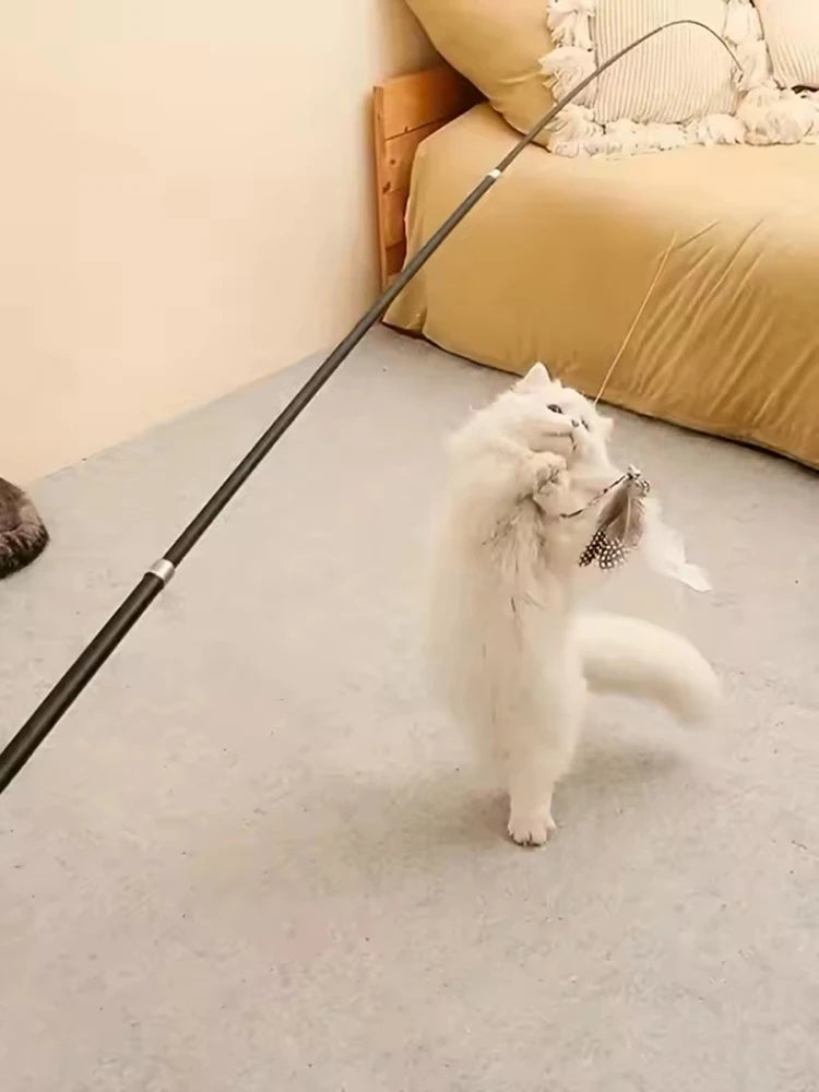 Extendable Feather Wand Cat Toy
